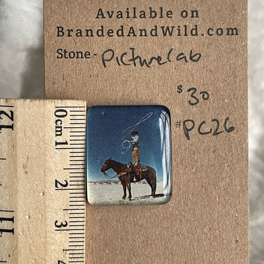 Picture Cabochon - Cabochon - PC26 7D14AB00-01CF-443B-B43D-4A2F3C80A604 Brandedandwild.com