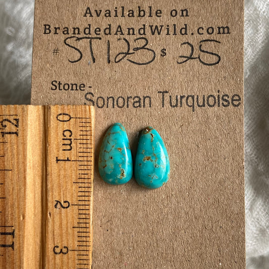 Sonoran Turquoise Cabochon - ST123 7D16C80D-D82F-4092-9A25-12D77C22AC09 Brandedandwild.com