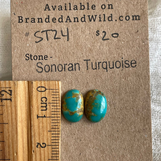 Sonoran Turquoise Cabochon - ST24 7D420A7E-8B77-499A-BDC7-4056F00D14C7 Brandedandwild.com