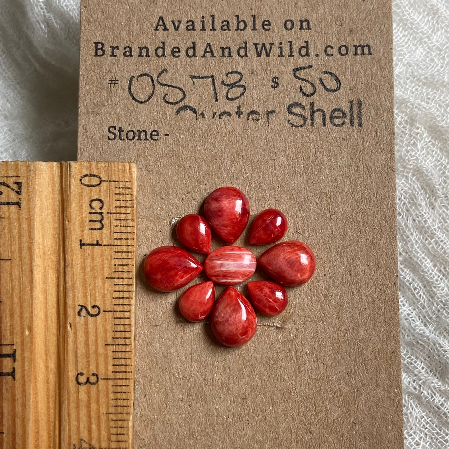 Oyster Shell Cabochon - OS78