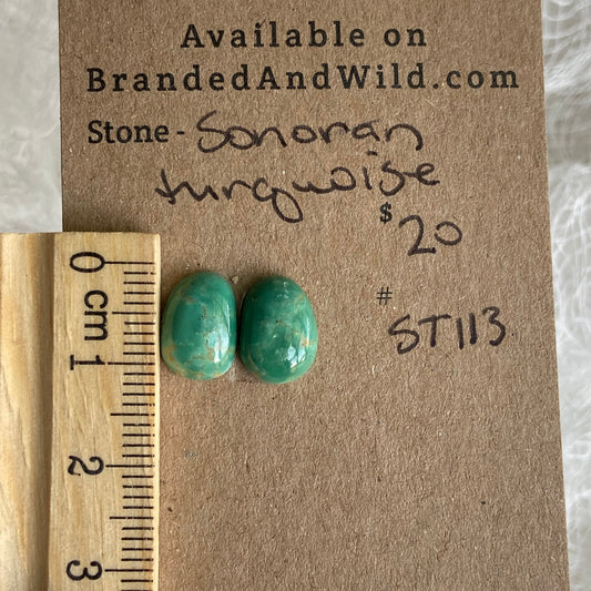 Sonoran Turquoise Cabochon - ST29