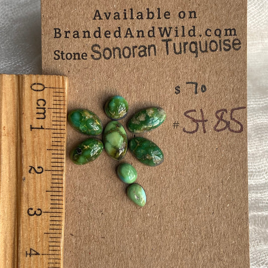Sonoran Turquoise Cabochon - ST85