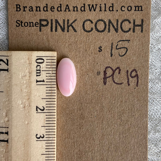 Pink Conch Cabochon - PC19