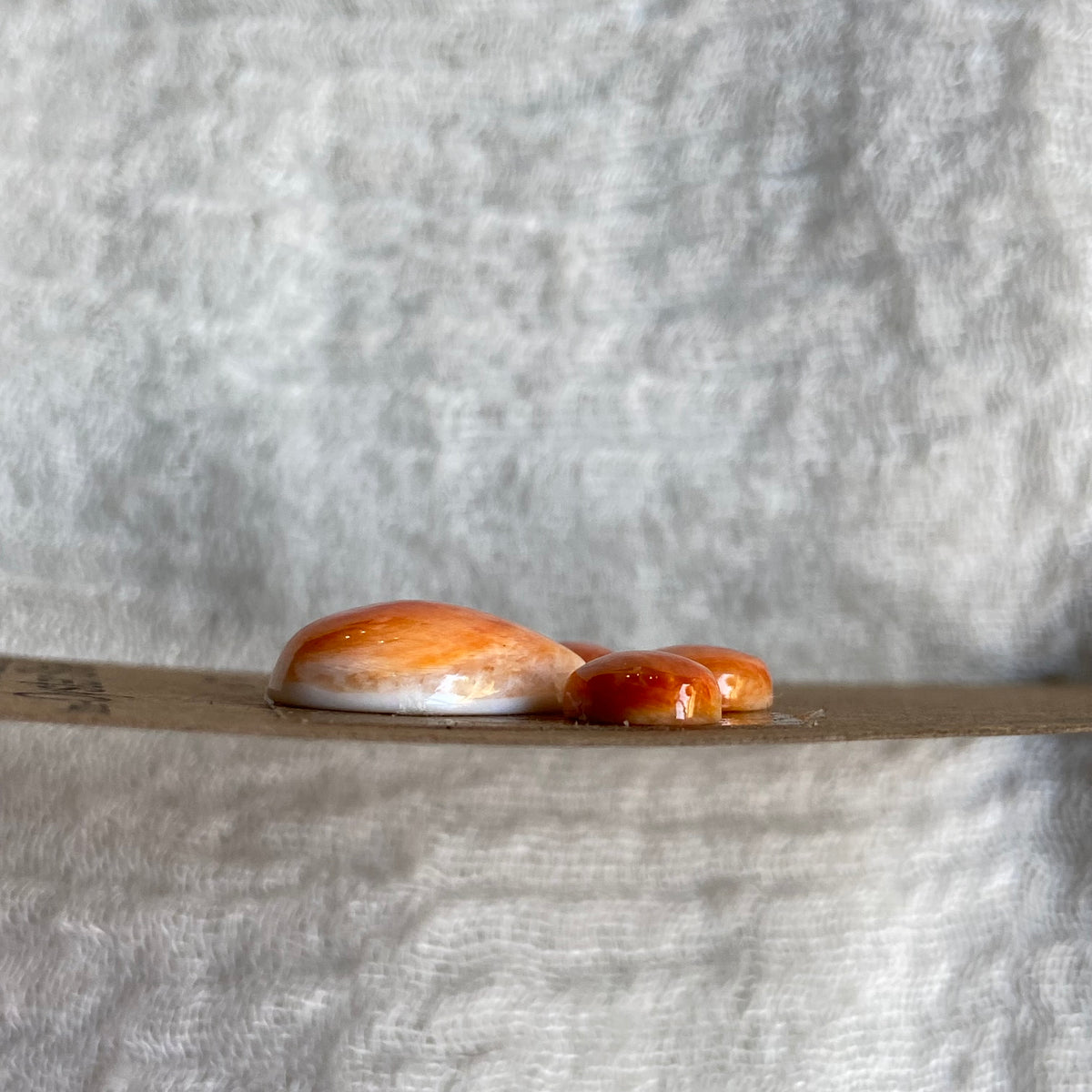Oyster Shell Cabochon - OS96
