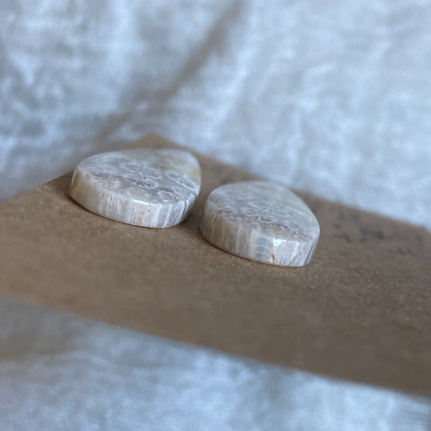 Fossil Coral Cabochon - FC101