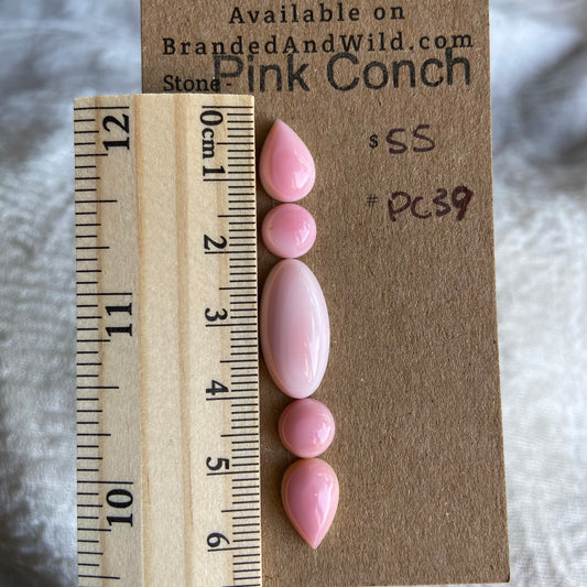 Pink Conch Cabochon - PC39