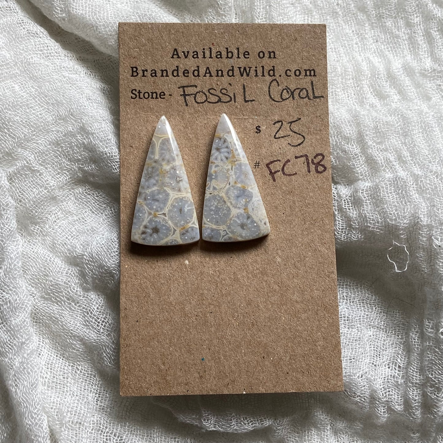 Fossil Coral Cabochon - FC78