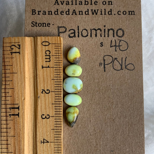 Palomino Cabochon - PO16