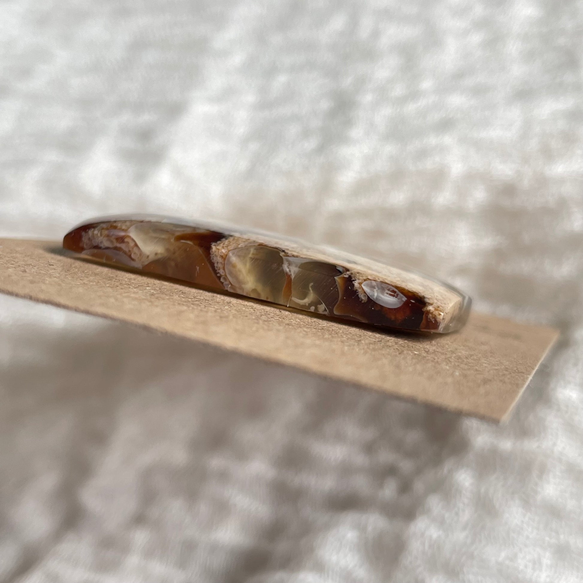 Amber Cabochon AM25 7DE4CD5F-286B-415A-8489-C47EB7961854 Brandedandwild.com