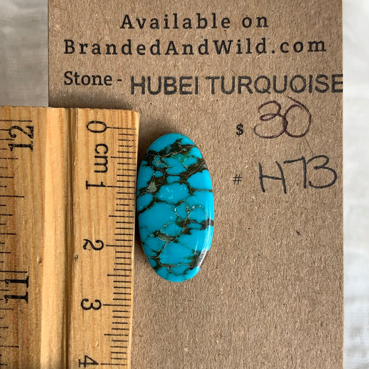Hubei Turquoise Cabochon - H73