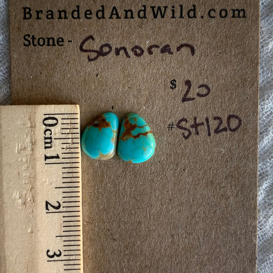 Sonoran Turquoise Cabochon - ST120