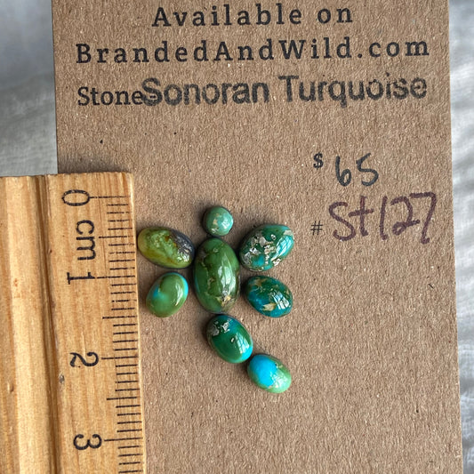 Sonoran Turquoise Cabochon - ST127