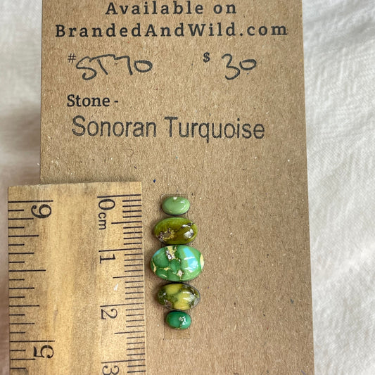 Sonoran Turquoise Cabochon - ST09 7E924E49-FBDF-4F94-83B3-707AD428D245 Brandedandwild.com