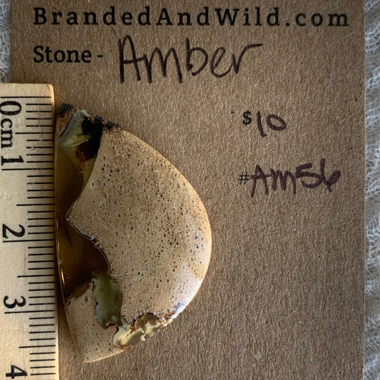Amber Cabochon AM56