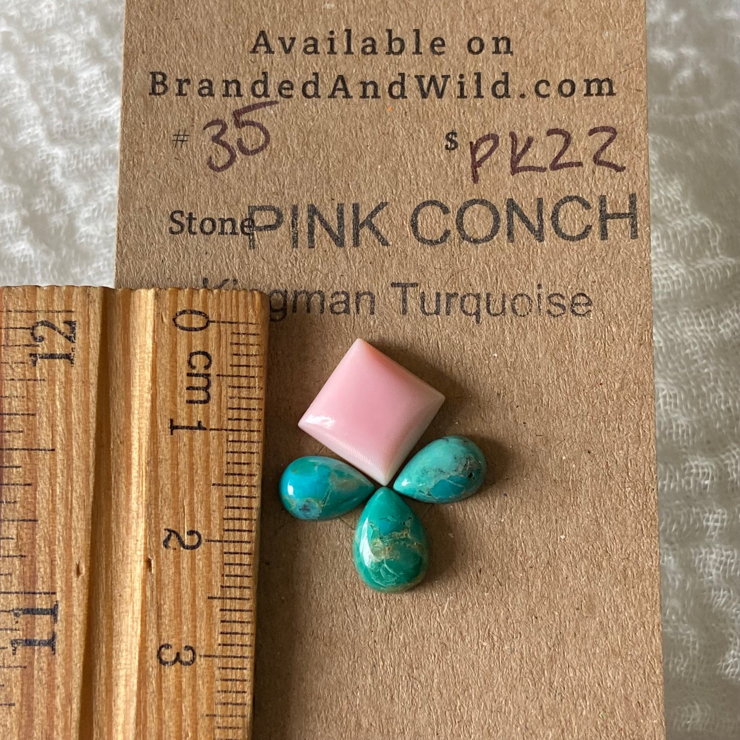 Pink Conch / Kingman Turquoise Cabochon - PK22