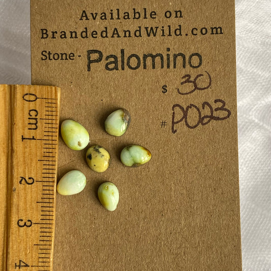 Palomino Cabochon - P023