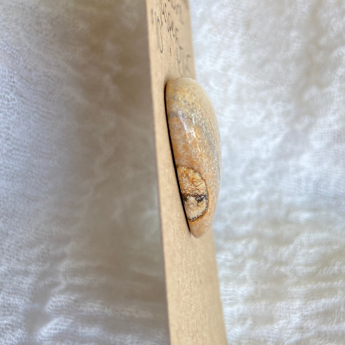 Picture Jasper Cabochon - PJ65