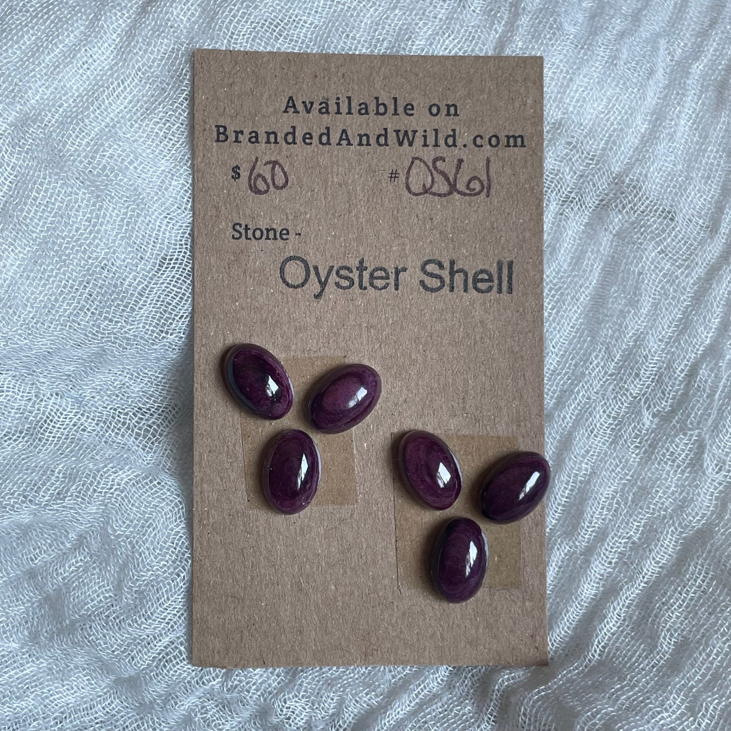 Oyster Shell Cabochon - OS61