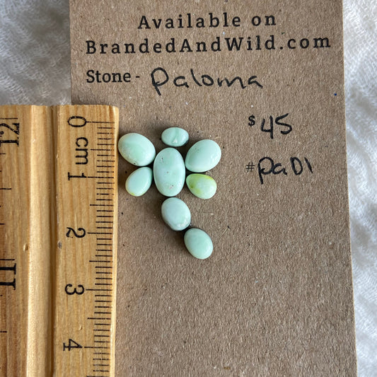 Paloma Cabochon - PA01