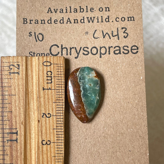Chrysoprase Cabochon - Ch43 7FC7BAC6-F692-4477-AEE7-F73169C5209C Brandedandwild.com
