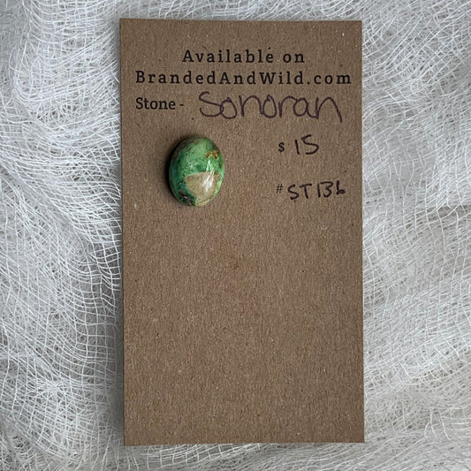 Sonoran Turquoise Cabochon - ST136