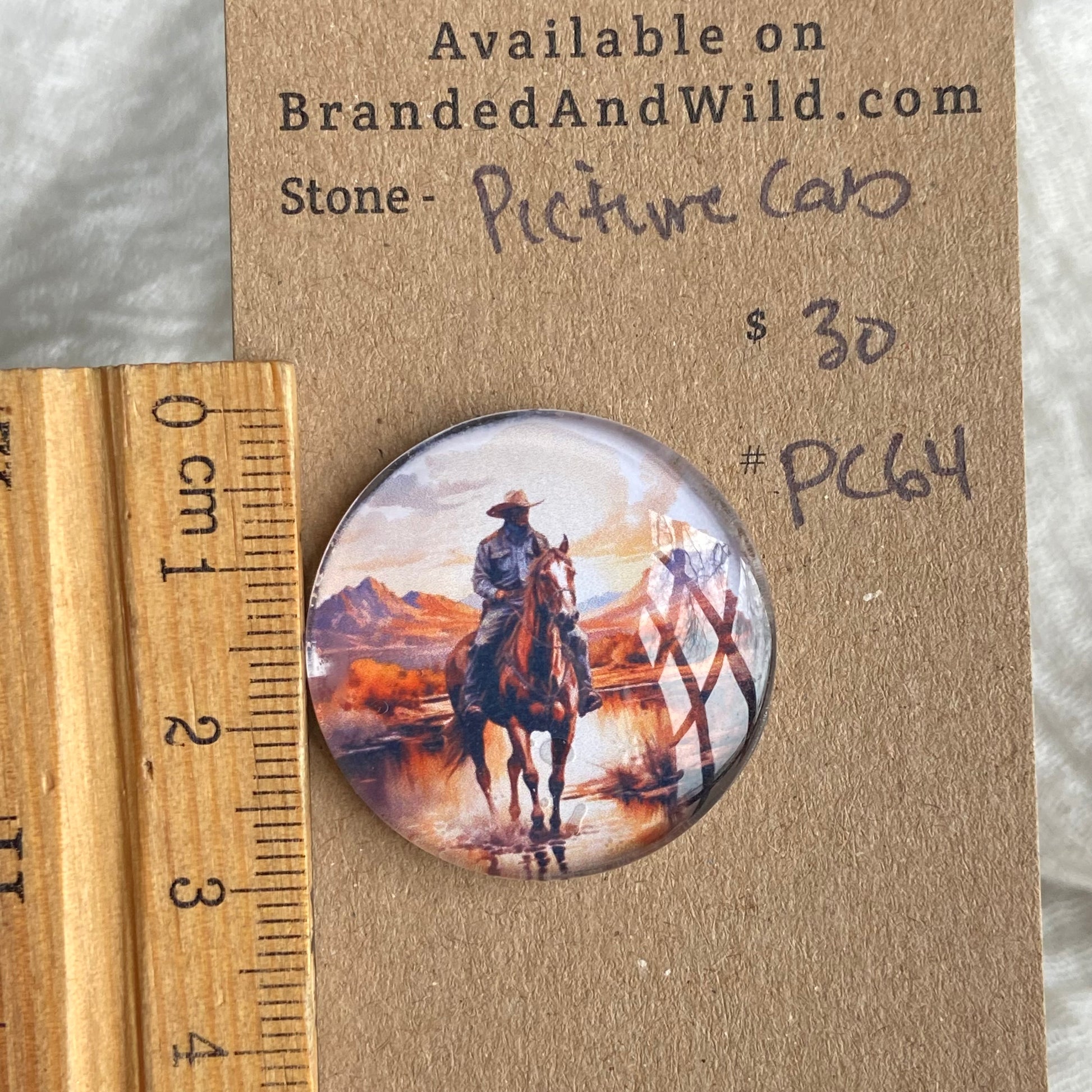 Picture Cabochon - Cabochon - PC64 7FE6178C-18DE-47F5-8488-525BC8AC6CFA Brandedandwild.com