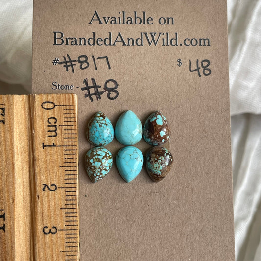 #8 Turquoise Cabochon - #817 7FFE350C-F616-4D3B-86A6-D2960EDB7F6F Brandedandwild.com
