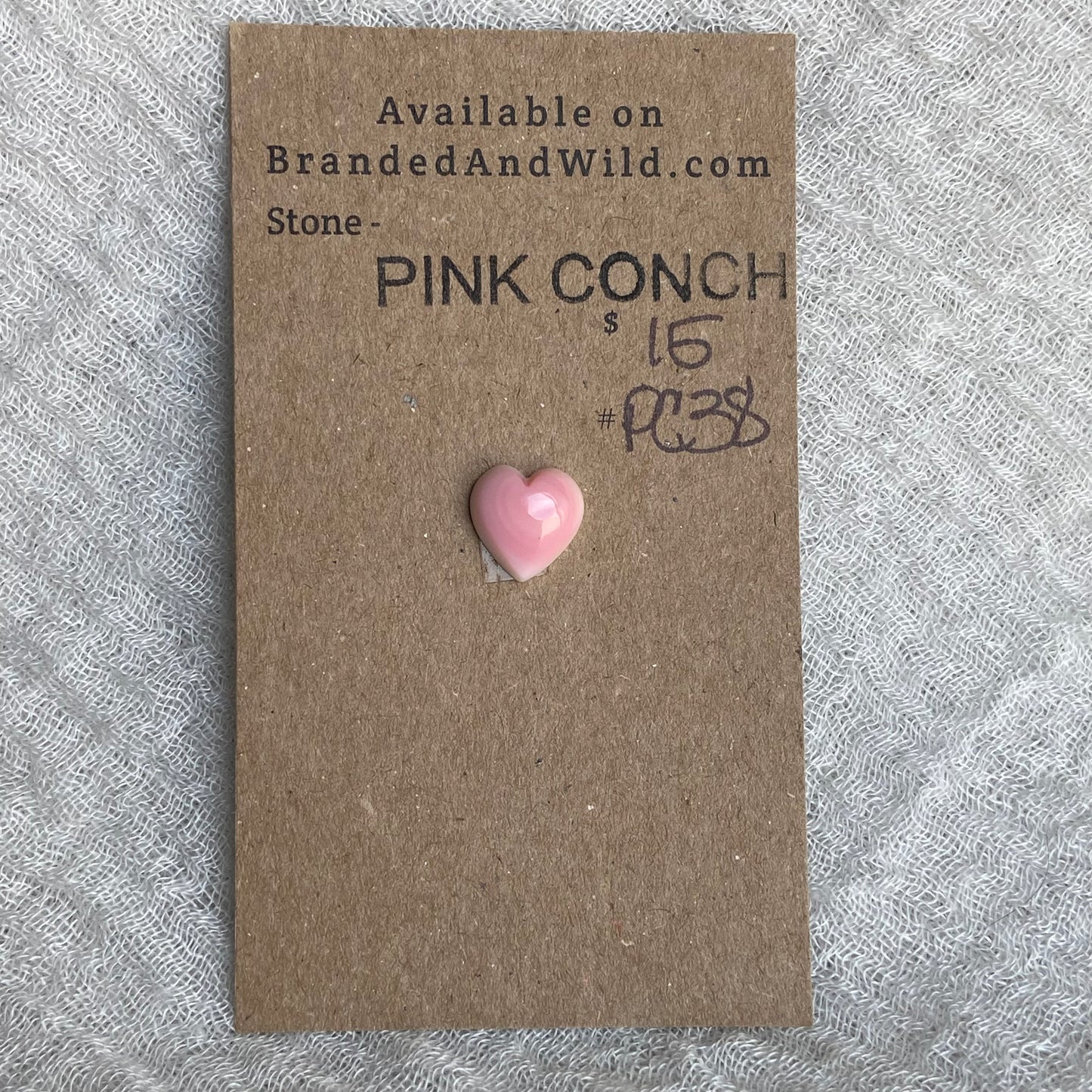 Pink Conch Cabochon - PC38
