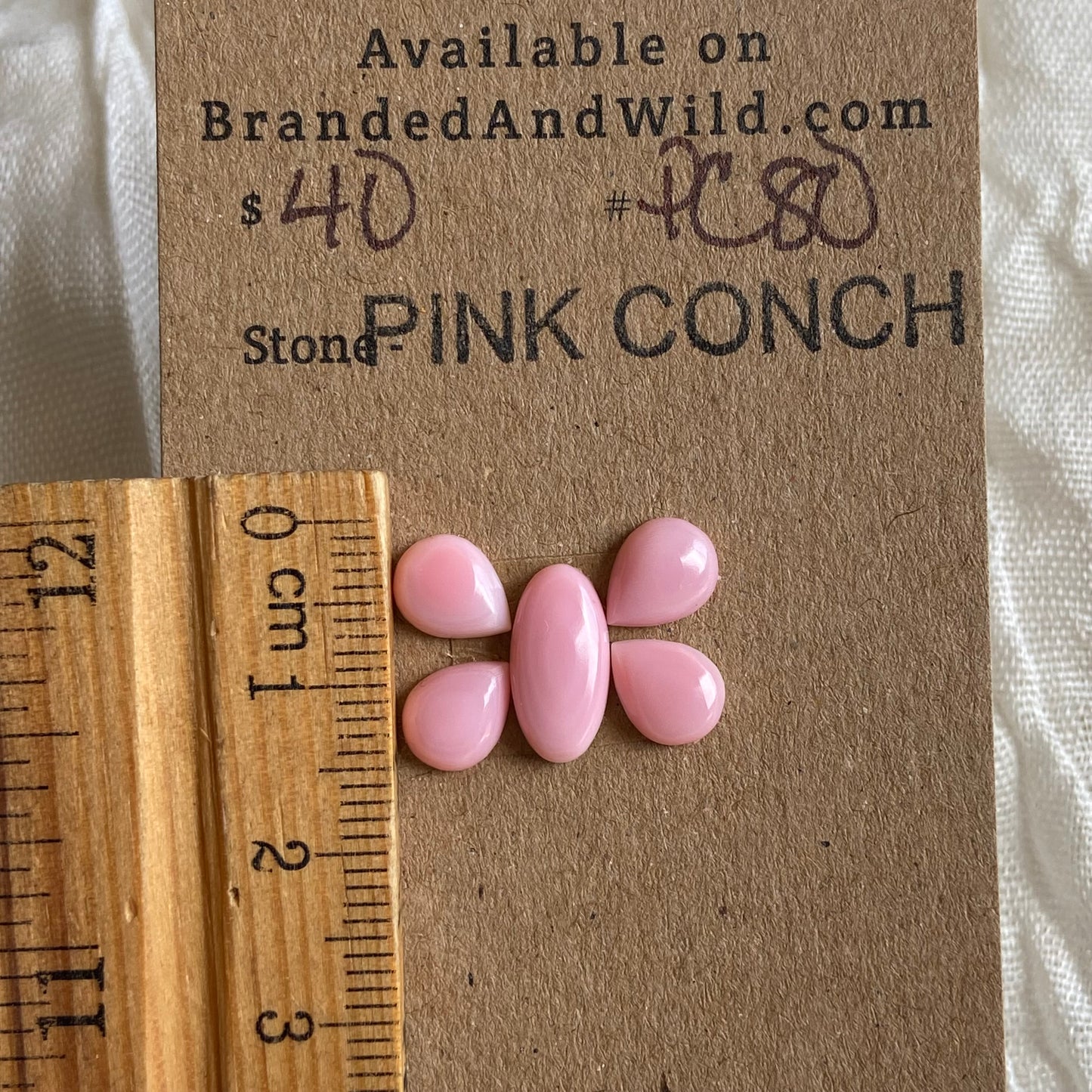 Pink Conch Cabochon - PC80 8026FCE0-B71A-4E52-861D-59AC4C39B23E Brandedandwild.com