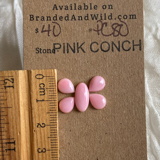 Pink Conch Cabochon - PC80 8026FCE0-B71A-4E52-861D-59AC4C39B23E Brandedandwild.com