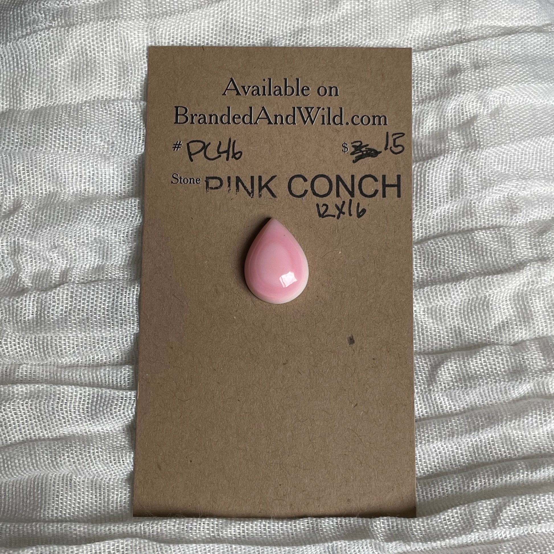 Pink Conch Cabochon - PC46 80295AA2-D64C-49A7-9B50-61CD910CBA4D Brandedandwild.com