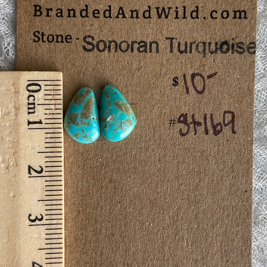 Sonoran Turquoise Cabochon - ST169