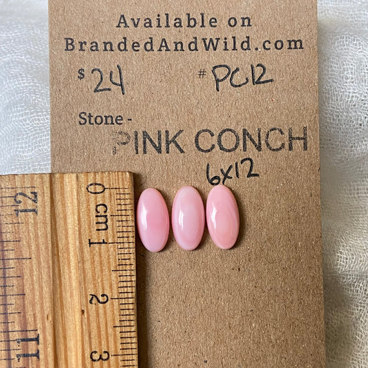 Pink Conch Cabochon - PC12 804E29F7-2AA1-4A38-94EA-01FE09EDB781 Brandedandwild.com