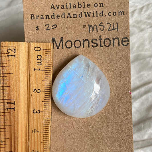 Moonstone cabochon - Ms24 80595076-44C1-4781-AB17-238D5A7AD41E Brandedandwild.com