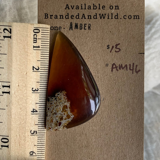 Amber Cabochon AM46