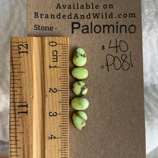 Palomino Cabochon - P081