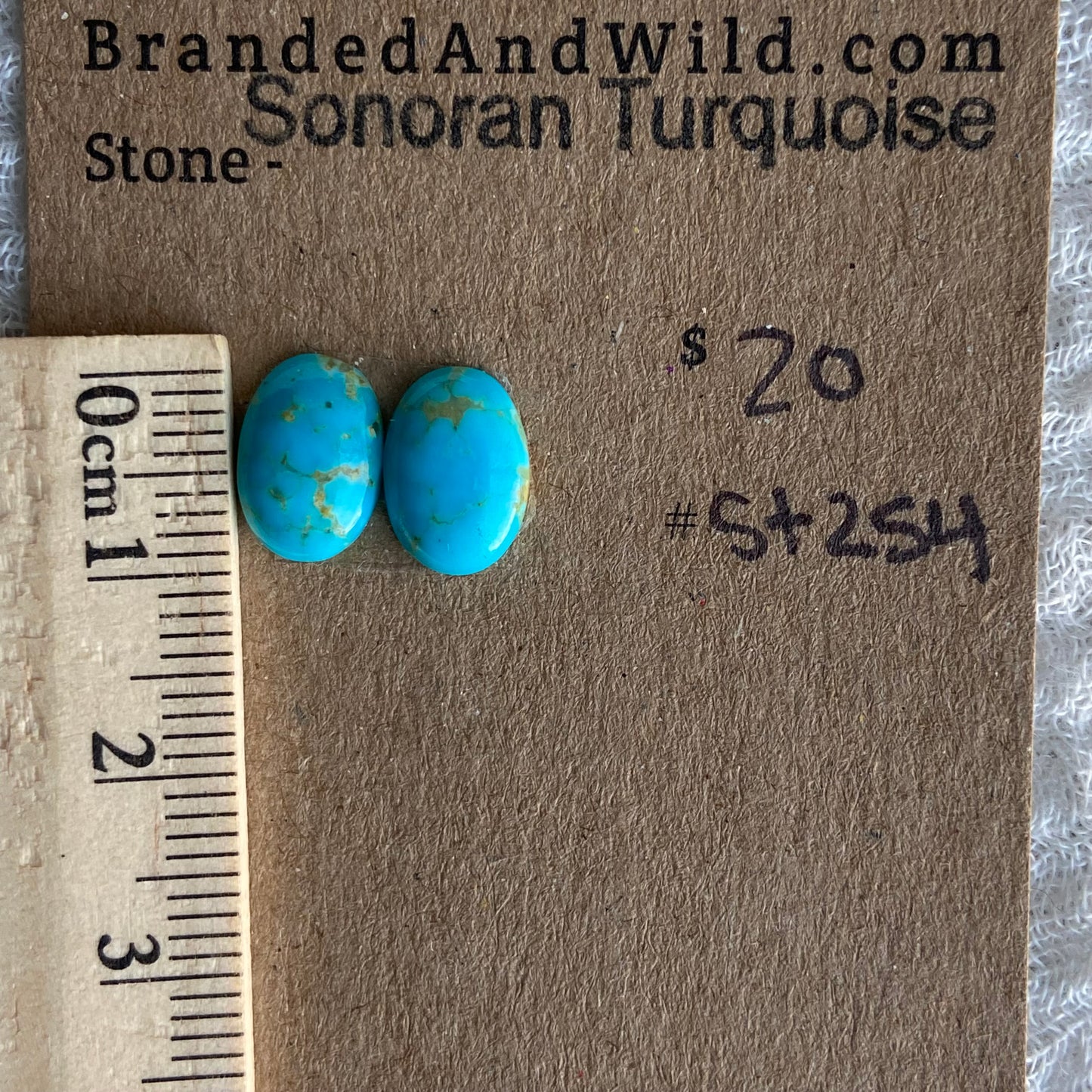 Sonoran Turquoise Cabochon - ST254