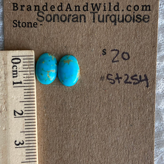 Sonoran Turquoise Cabochon - ST254