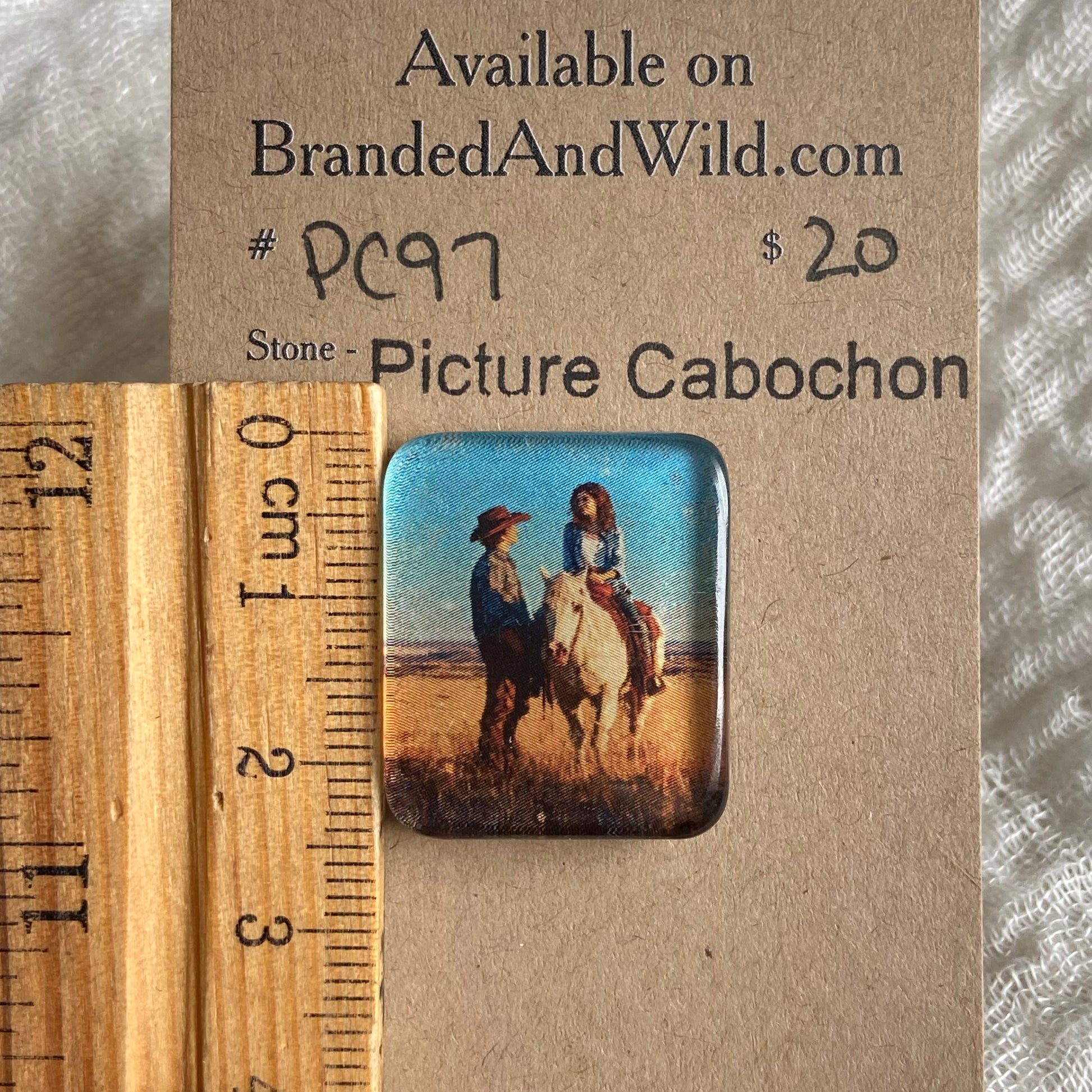 Picture Cabochon - Cabochon - PC97 80A97007-F29F-4F03-ABB7-A68647702A9D Brandedandwild.com