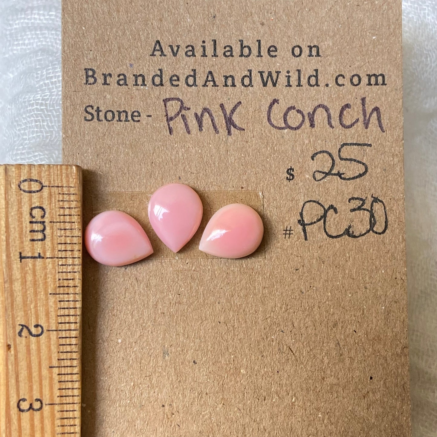 Pink Conch Cabochon - PC30 80ACEEDB-9460-4B69-9745-17200B071CDF Brandedandwild.com