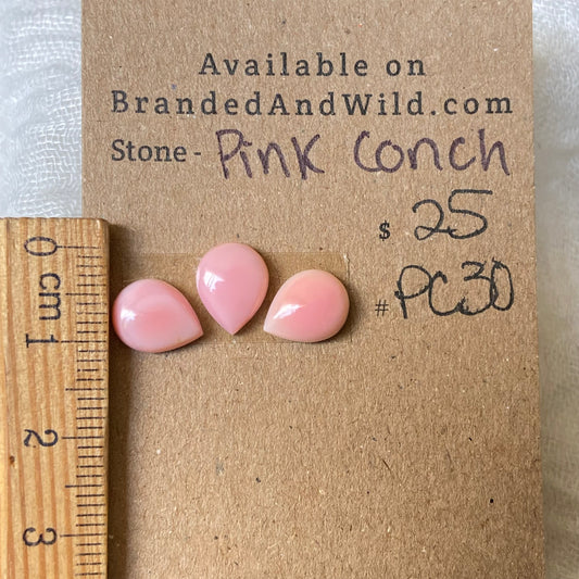 Pink Conch Cabochon - PC30 80ACEEDB-9460-4B69-9745-17200B071CDF Brandedandwild.com