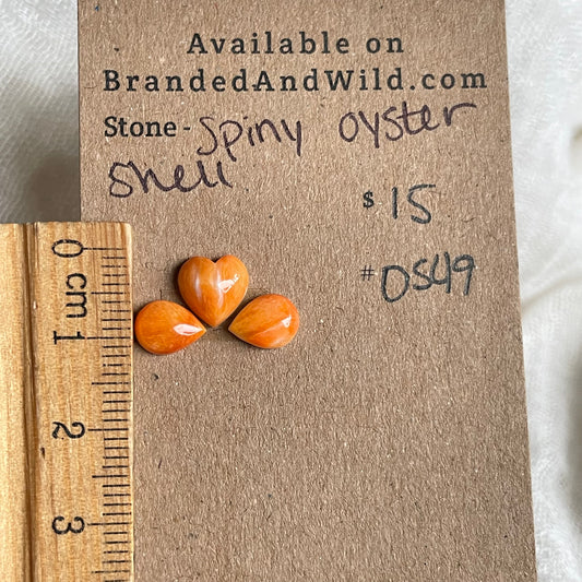 Spiny Oyster Shell Cabochon - OS49 80B93D90-1290-4CA8-890A-DE196DD62D84 Brandedandwild.com