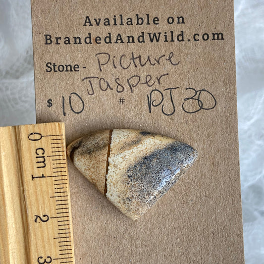 Picture Jasper Cabochon - PJ30