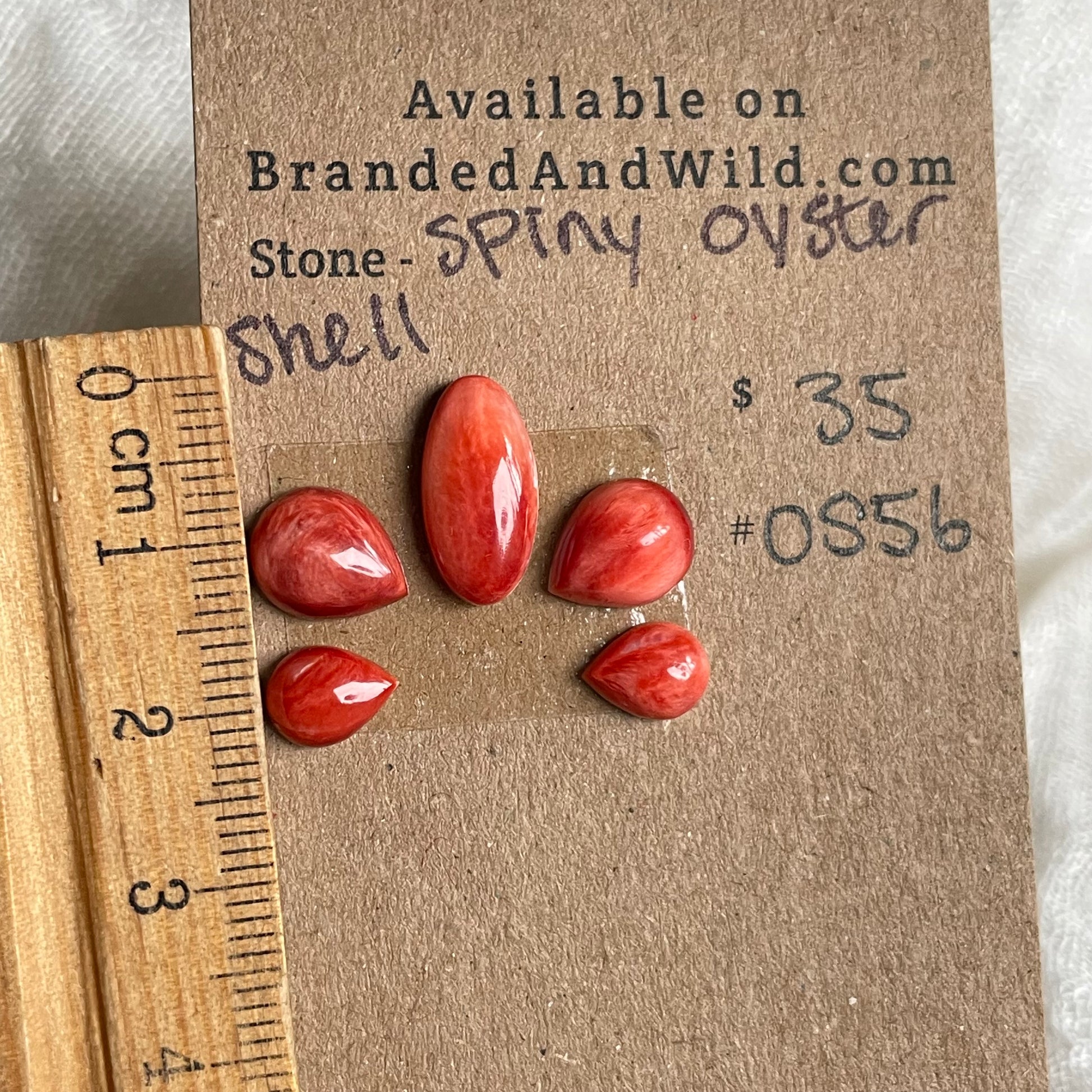 Spiny Oyster Shell Cabochon - OS56 81095534-4806-4AE1-B506-E53239CA2145 Brandedandwild.com