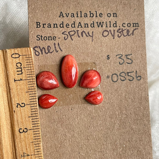Spiny Oyster Shell Cabochon - OS56 81095534-4806-4AE1-B506-E53239CA2145 Brandedandwild.com
