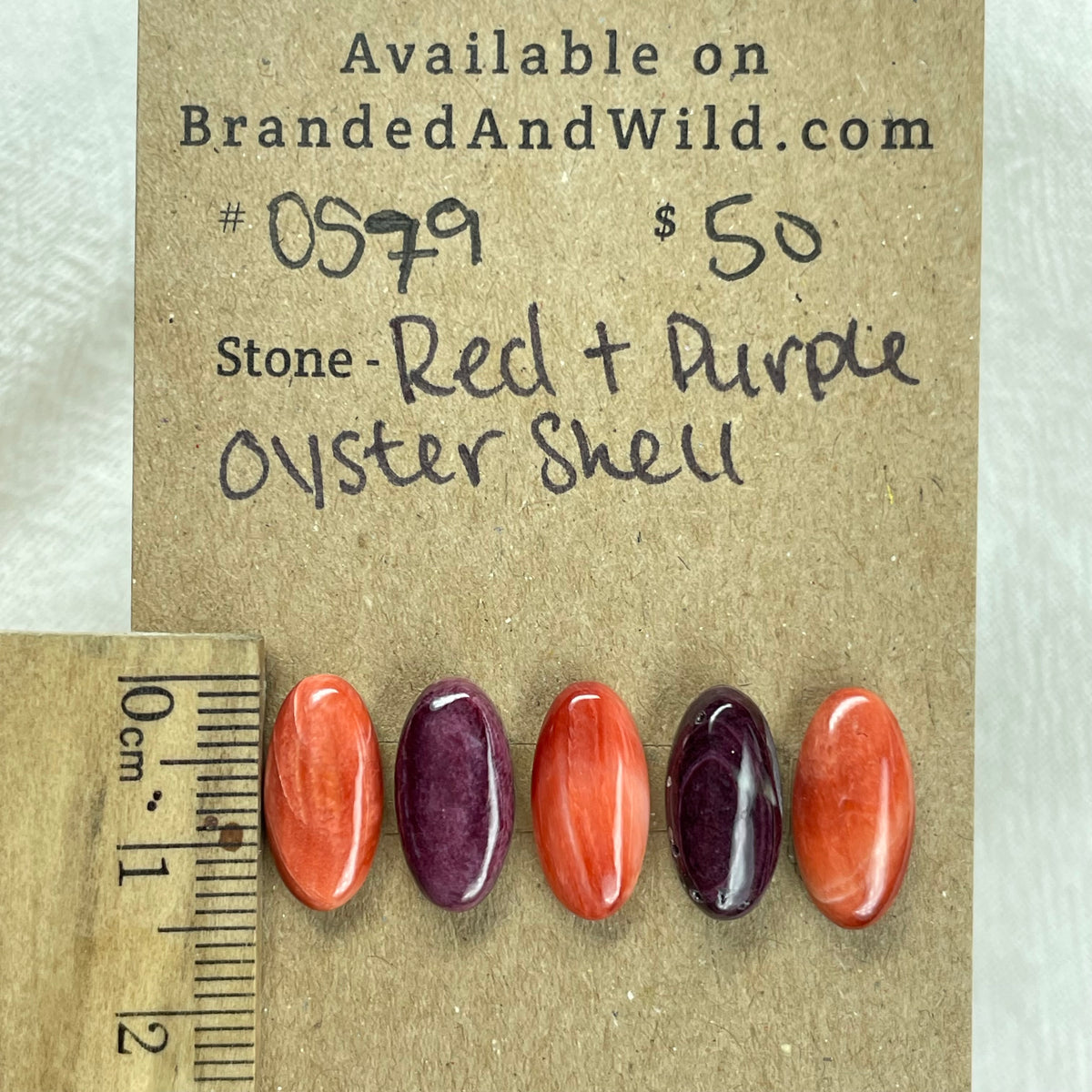 Oyster Shell Cabochon - OS79 8160EF83-711B-4EEA-9DAF-DF672D87190A Brandedandwild.com