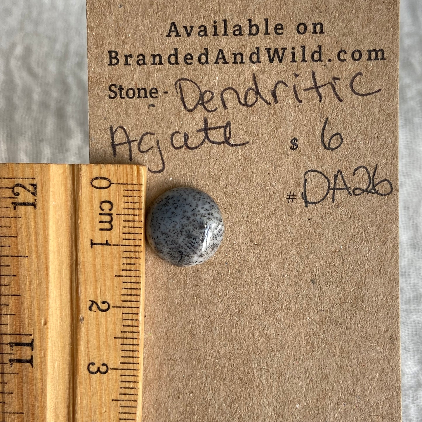 Dendritic Agate Cabochon - DA26