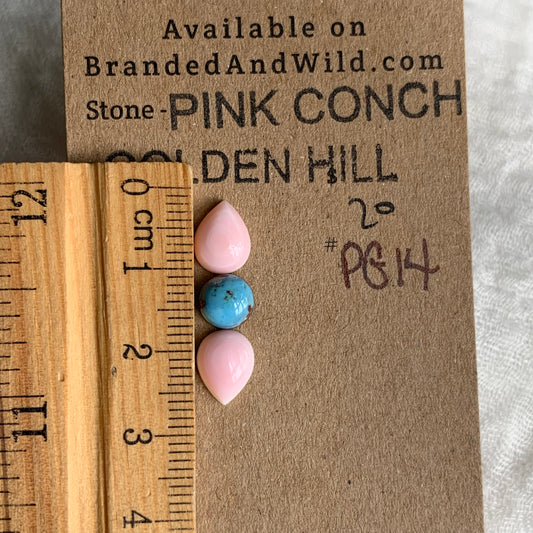 Pink Conch/Golden Hill Cabochon - PG14