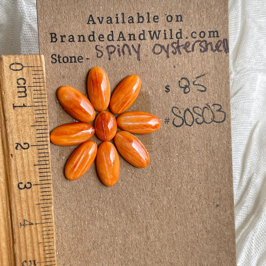 Spiny Oyster Shell Cabochon - SOS03 818FBF36-5C54-4F9F-9D13-AE1406894CF7 Brandedandwild.com