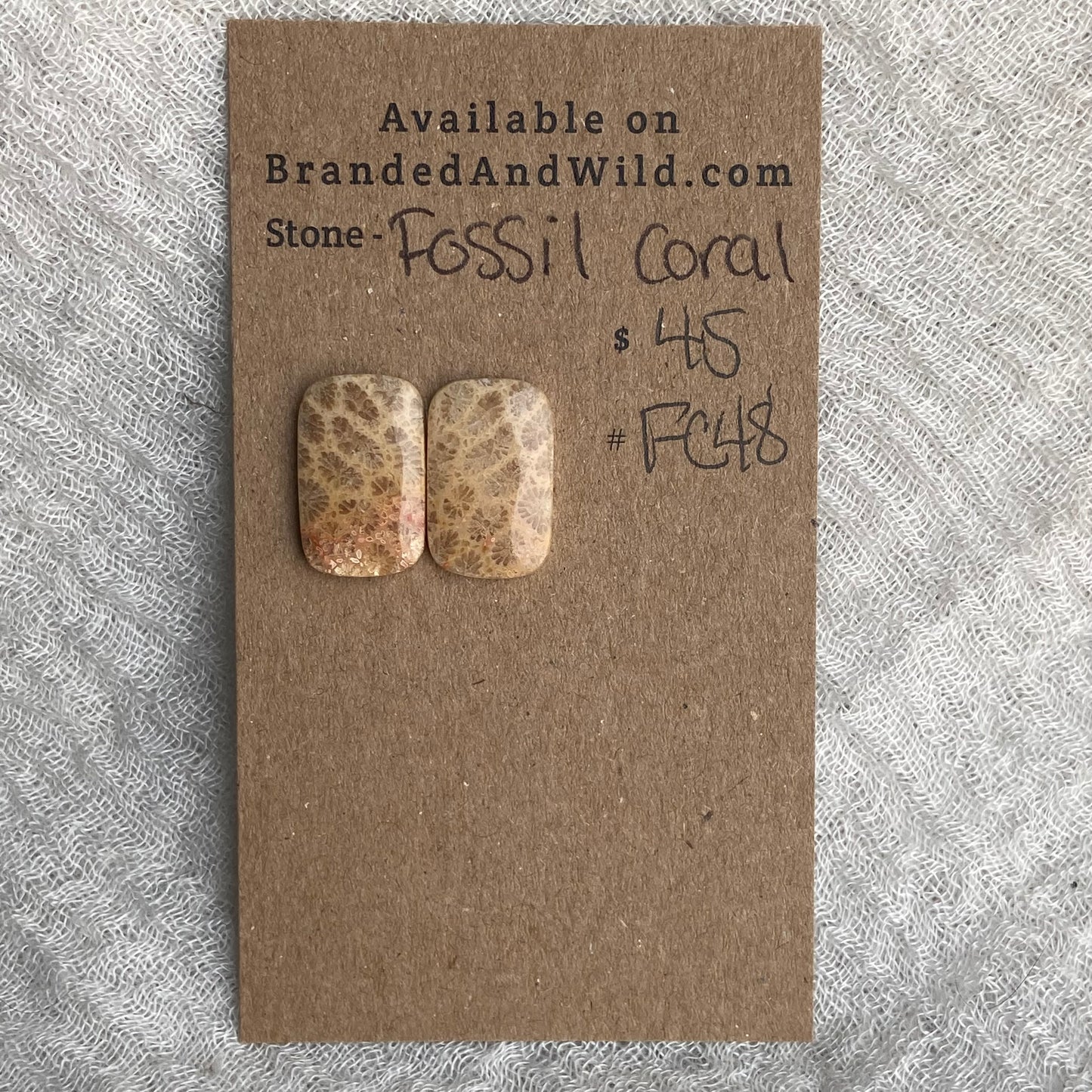 Fossil Coral Cabochon - FC48